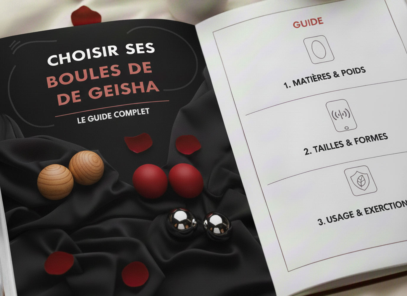 choisir plug boules geisha guide